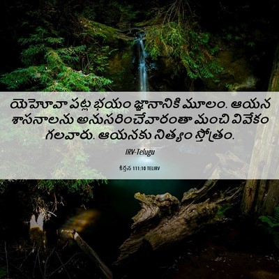 Picture 06 - కీర్తన 111:10 TELIRV - యెహోవా పట్ల భయం - Bible Verse Picture