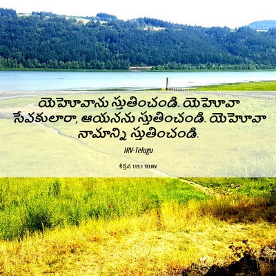 Picture 06 - కీర్తన 113:1 TELIRV - యెహోవాను - Bible Verse Picture