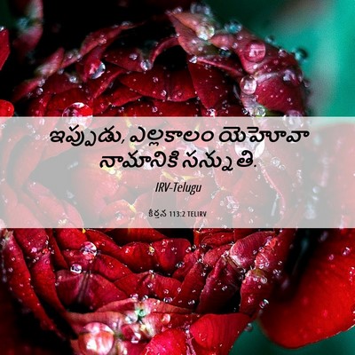 Picture 06 - కీర్తన 113:2 TELIRV - ఇప్పుడు, ఎల్లకాలం - Bible Verse Picture