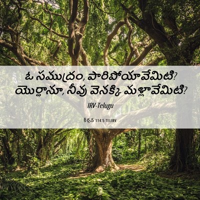 Picture 06 - కీర్తన 114:5 TELIRV - ఓ సముద్రం, - Bible Verse Picture
