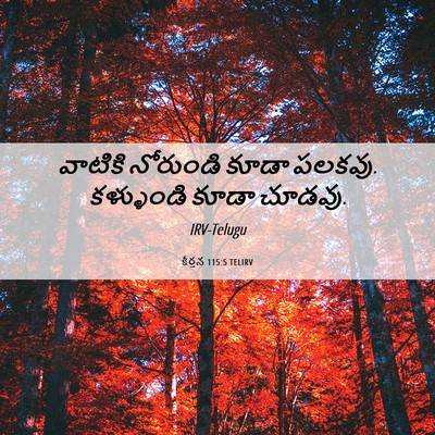 Picture 06 - కీర్తన 115:5 TELIRV - వాటికి నోరుండి - Bible Verse Picture