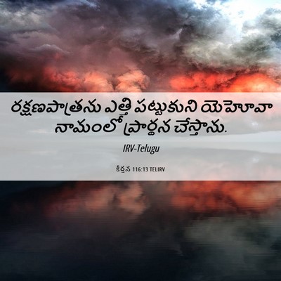 Picture 06 - కీర్తన 116:13 TELIRV - రక్షణపాత్రను - Bible Verse Picture