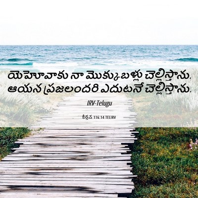 Picture 06 - కీర్తన 116:14 TELIRV - యెహోవాకు నా - Bible Verse Picture