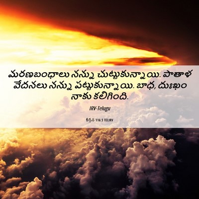 Picture 06 - కీర్తన 116:3 TELIRV - మరణబంధాలు నన్ను - Bible Verse Picture