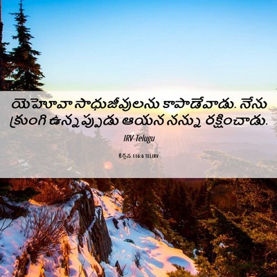 Picture 06 - కీర్తన 116:6 TELIRV - యెహోవా - Bible Verse Picture