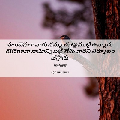 Picture 06 - కీర్తన 118:11 TELIRV - నలుదెసలా వారు - Bible Verse Picture