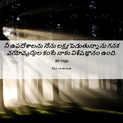 Picture 06 - కీర్తన 119:100 TELIRV - నీ ఉపదేశాలను నేను - Bible Verse Picture