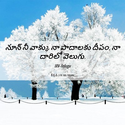 Picture 06 - కీర్తన 119:105 TELIRV - నూన్‌ నీ వాక్కు నా - Bible Verse Picture