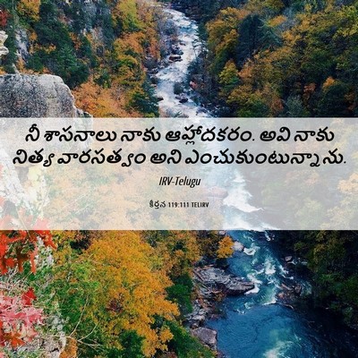 Picture 06 - కీర్తన 119:111 TELIRV - నీ శాసనాలు నాకు - Bible Verse Picture