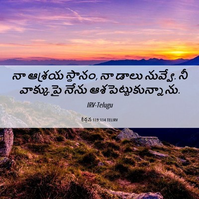 Picture 06 - కీర్తన 119:114 TELIRV - నా ఆశ్రయ స్థానం, నా - Bible Verse Picture