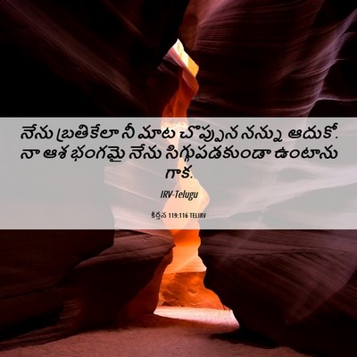 Picture 06 - కీర్తన 119:116 TELIRV - నేను బ్రతికేలా నీ - Bible Verse Picture