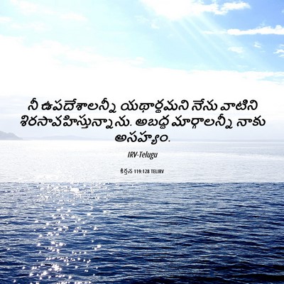 Picture 06 - కీర్తన 119:128 TELIRV - నీ ఉపదేశాలన్నీ - Bible Verse Picture
