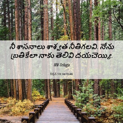 Picture 06 - కీర్తన 119:144 TELIRV - నీ శాసనాలు శాశ్వత - Bible Verse Picture