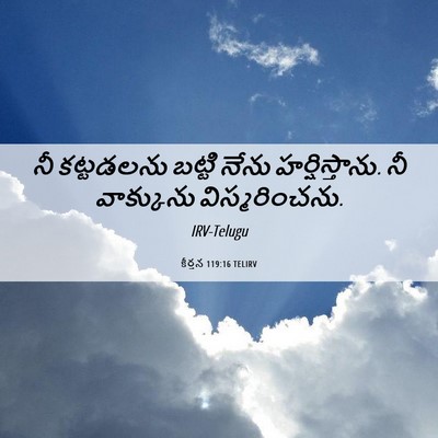 Picture 06 - కీర్తన 119:16 TELIRV - నీ కట్టడలను బట్టి - Bible Verse Picture