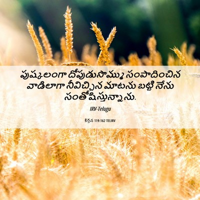 Picture 06 - కీర్తన 119:162 TELIRV - పుష్కలంగా - Bible Verse Picture
