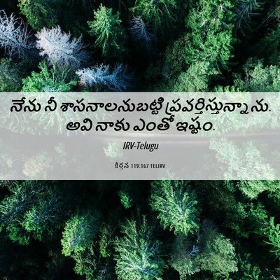 Picture 06 - కీర్తన 119:167 TELIRV - నేను నీ - Bible Verse Picture