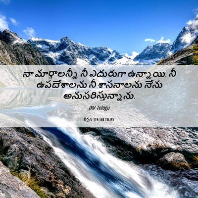Picture 06 - కీర్తన 119:168 TELIRV - నా మార్గాలన్నీ నీ - Bible Verse Picture