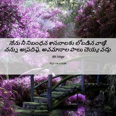 Picture 06 - కీర్తన 119:22 TELIRV - నేను నీ నిబంధన - Bible Verse Picture