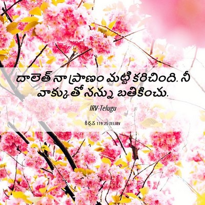 Picture 06 - కీర్తన 119:25 TELIRV - దాలెత్‌ నా ప్రాణం - Bible Verse Picture