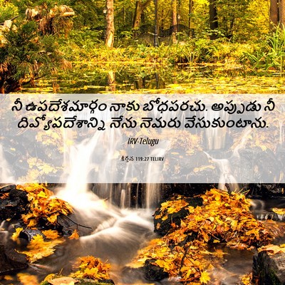 Picture 06 - కీర్తన 119:27 TELIRV - నీ ఉపదేశమార్గం - Bible Verse Picture