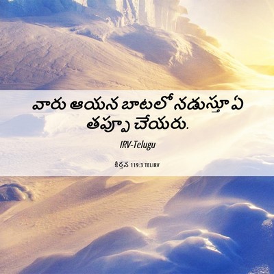 Picture 06 - కీర్తన 119:3 TELIRV - వారు ఆయన బాటలో - Bible Verse Picture