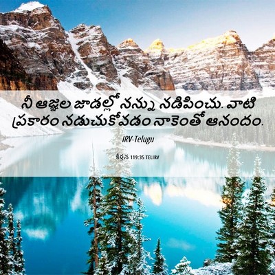Picture 06 - కీర్తన 119:35 TELIRV - నీ ఆజ్ఞల జాడల్లో - Bible Verse Picture