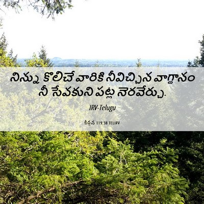Picture 06 - కీర్తన 119:38 TELIRV - నిన్ను కొలిచే - Bible Verse Picture