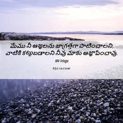 Picture 06 - కీర్తన 119:4 TELIRV - మేము నీ ఆజ్ఞలను - Bible Verse Picture