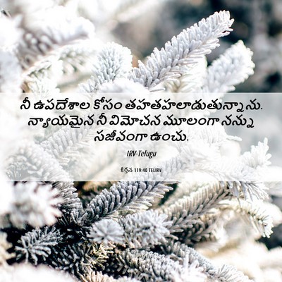 Picture 06 - కీర్తన 119:40 TELIRV - నీ ఉపదేశాల కోసం - Bible Verse Picture