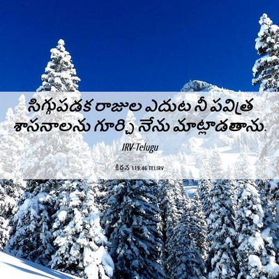 Picture 06 - కీర్తన 119:46 TELIRV - సిగ్గుపడక రాజుల - Bible Verse Picture