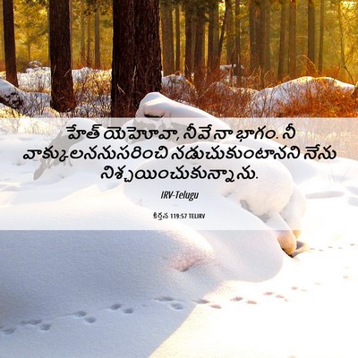 Picture 06 - కీర్తన 119:57 TELIRV - హేత్‌ యెహోవా, నీవే - Bible Verse Picture