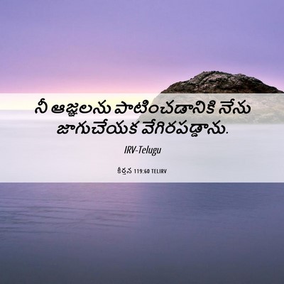 Picture 06 - కీర్తన 119:60 TELIRV - నీ ఆజ్ఞలను - Bible Verse Picture