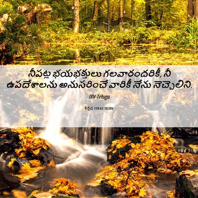 Picture 06 - కీర్తన 119:63 TELIRV - నీపట్ల భయభక్తులు - Bible Verse Picture