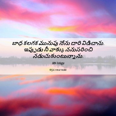 Picture 06 - కీర్తన 119:67 TELIRV - బాధ కలగక మునుపు - Bible Verse Picture