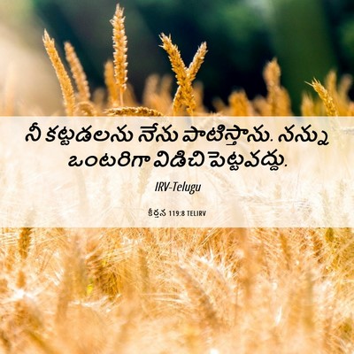 Picture 06 - కీర్తన 119:8 TELIRV - నీ కట్టడలను నేను - Bible Verse Picture