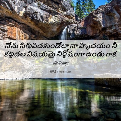 Picture 06 - కీర్తన 119:80 TELIRV - నేను - Bible Verse Picture