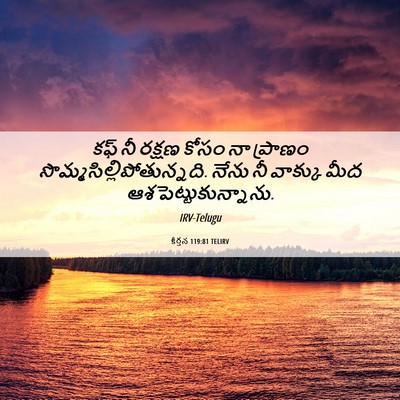 Picture 06 - కీర్తన 119:81 TELIRV - కఫ్‌ నీ రక్షణ కోసం - Bible Verse Picture