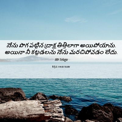 Picture 06 - కీర్తన 119:83 TELIRV - నేను పొగ పట్టిన - Bible Verse Picture