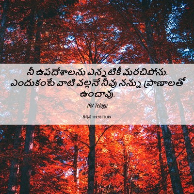 Picture 06 - కీర్తన 119:93 TELIRV - నీ ఉపదేశాలను - Bible Verse Picture