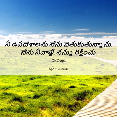 Picture 06 - కీర్తన 119:94 TELIRV - నీ ఉపదేశాలను నేను - Bible Verse Picture