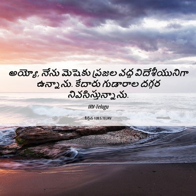Picture 06 - కీర్తన 120:5 TELIRV - అయ్యో, నేను మెషెకు - Bible Verse Picture