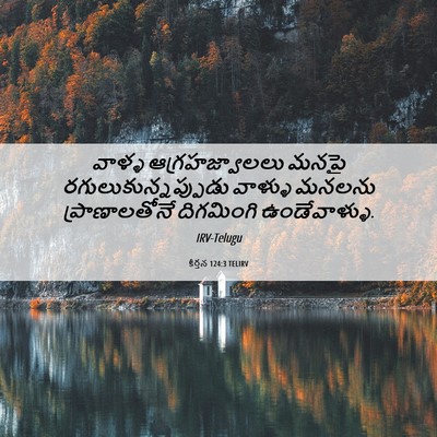 Picture 06 - కీర్తన 124:3 TELIRV - వాళ్ళ - Bible Verse Picture