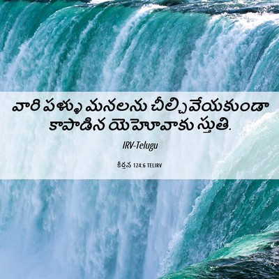 Picture 06 - కీర్తన 124:6 TELIRV - వారి పళ్ళు మనలను - Bible Verse Picture