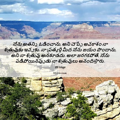 Picture 06 - కీర్తన 13:4 TELIRV - నేను అతన్ని - Bible Verse Picture