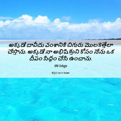Picture 06 - కీర్తన 132:17 TELIRV - అక్కడే దావీదు - Bible Verse Picture