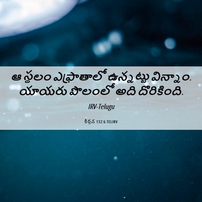 Picture 06 - కీర్తన 132:6 TELIRV - ఆ స్థలం ఎఫ్రాతాలో - Bible Verse Picture