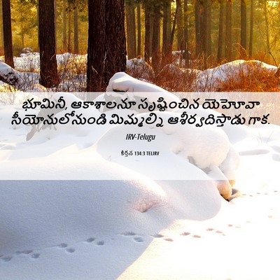 Picture 06 - కీర్తన 134:3 TELIRV - భూమినీ, ఆకాశాలనూ - Bible Verse Picture
