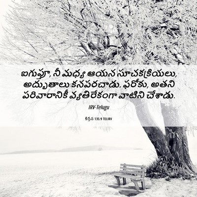 Picture 06 - కీర్తన 135:9 TELIRV - ఐగుప్తూ, నీ మధ్య - Bible Verse Picture