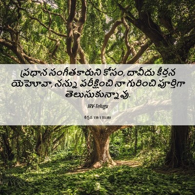 Picture 06 - కీర్తన 139:1 TELIRV - ప్రధాన - Bible Verse Picture
