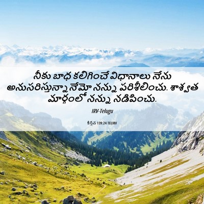 Picture 06 - కీర్తన 139:24 TELIRV - నీకు బాధ కలిగించే - Bible Verse Picture